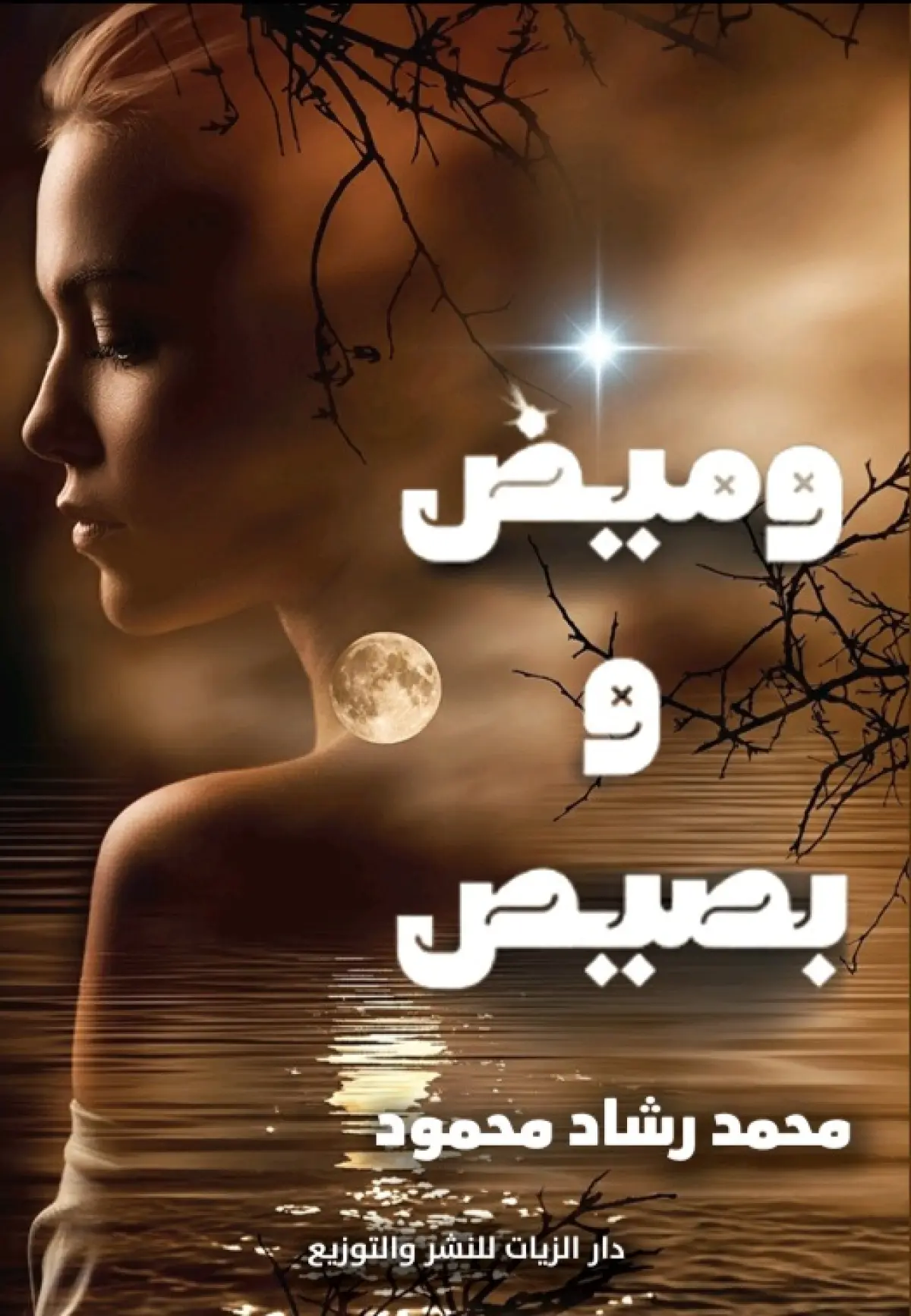 وميض وبصيص