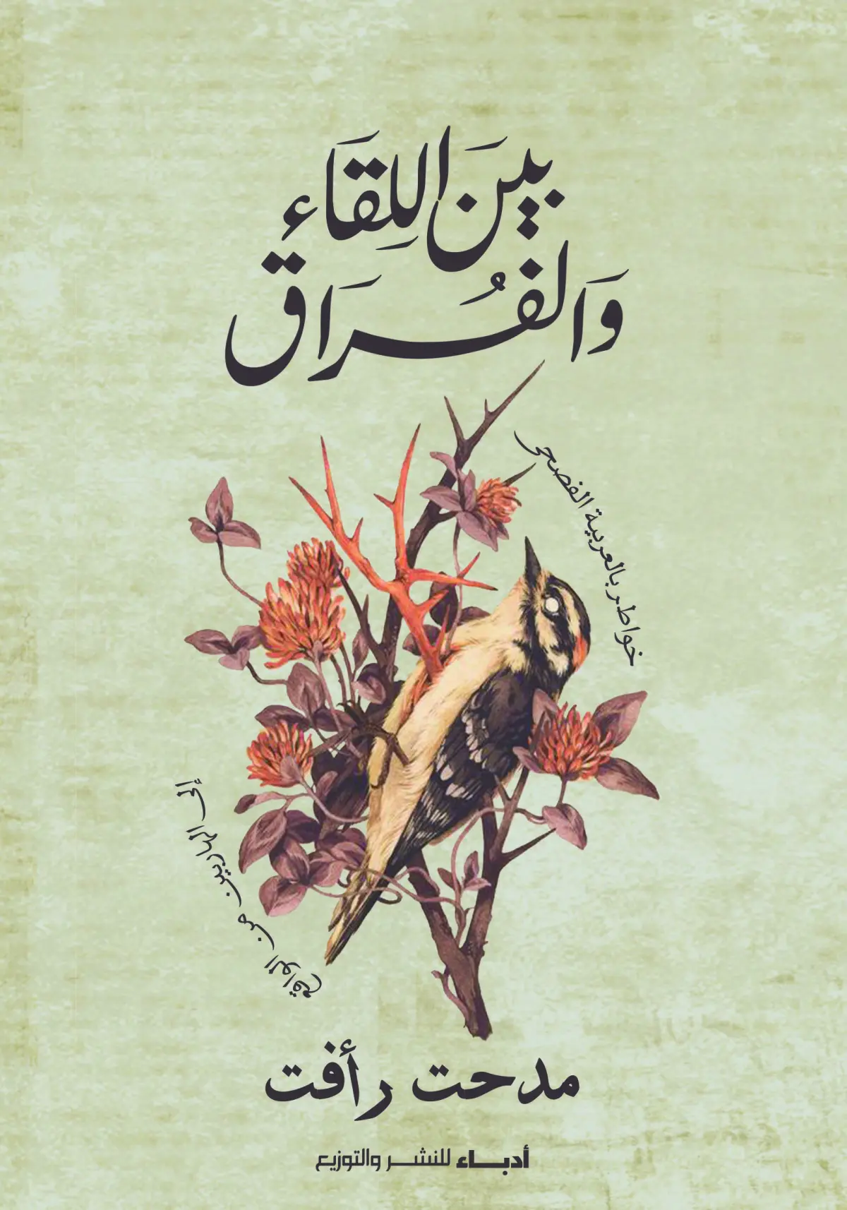 بين اللقاء والفراق